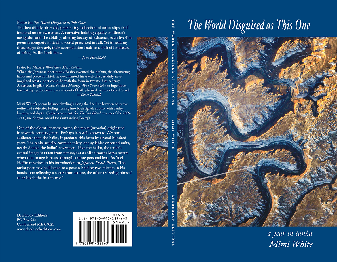 Mimi White – New book: The World Disguised as This One