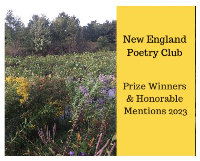 Cover image, New England Poetry Club Zoom reading on YouTube, October 8, 2023